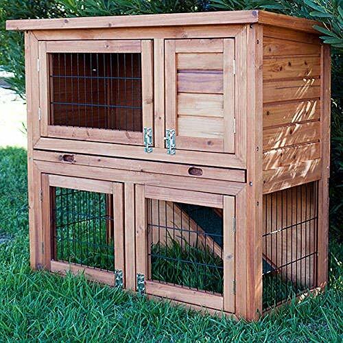Bunny business tier double - business, 2-tier