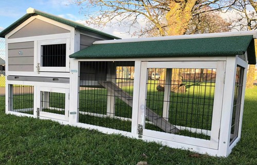 Large rabbit hutch - rabbit, pig