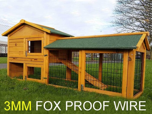 Rabbit esmo hutch guinea - esmo,