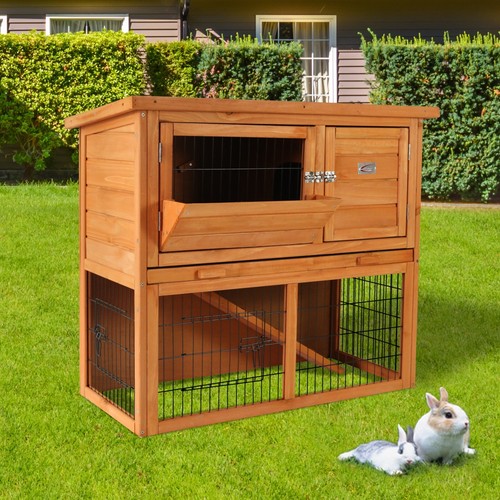 Bunny business rabbit - bunny,