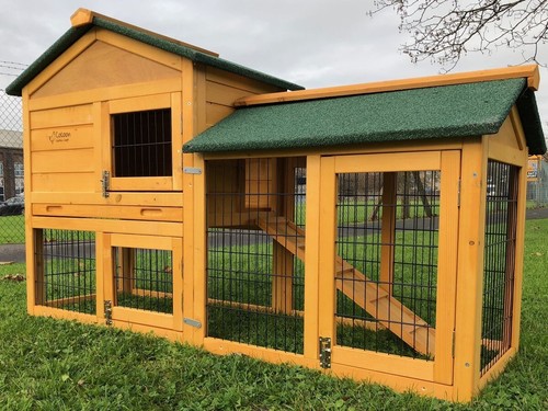 Rabbit hutch guinea pig - hutch,