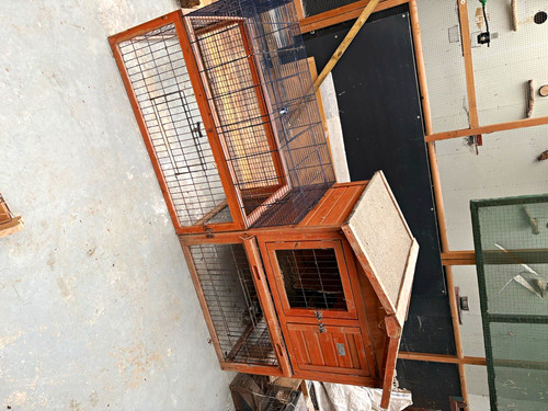 Wooden rabbit hutch with - hutch, wire
