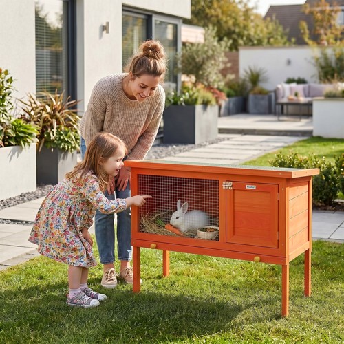 Pawhut rabbit hutch - rabbit, guinea