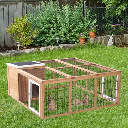 Rabbit hutch outdoor guinea - rabbit, outdoor,