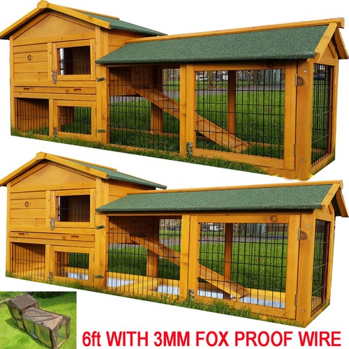 Rabbit hutch guinea pig - guinea,